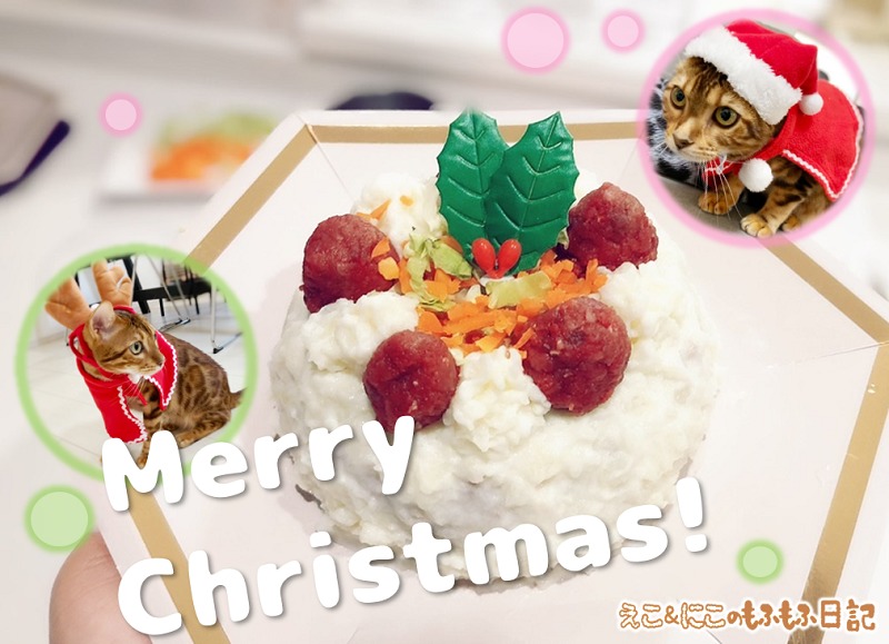 猫用クリスマスケーキとベンガル猫のエコルとニコル